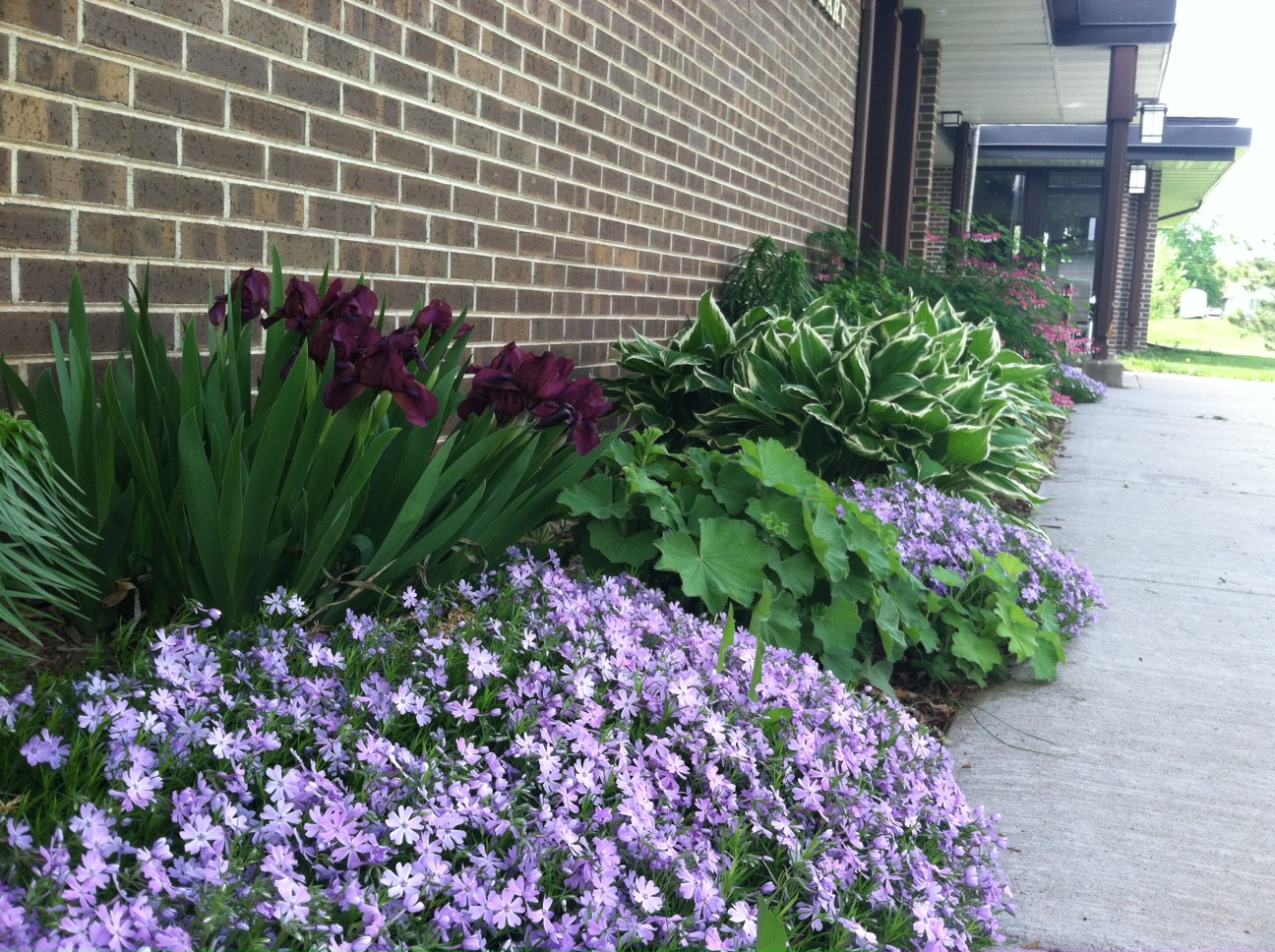 Library Board and Policies Thorp Public Library